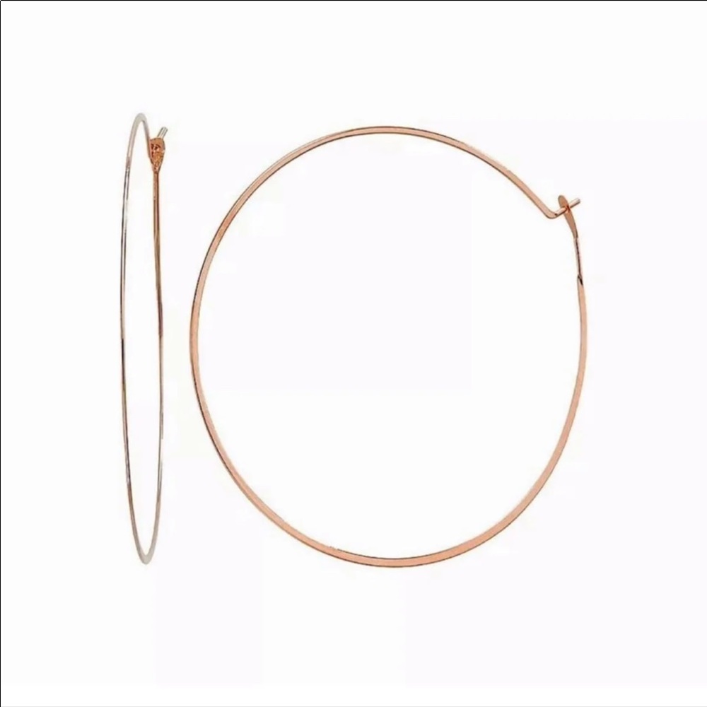 NWT MICHAEL KORS Whisper Hoop Earrings - Picture 3 of 5